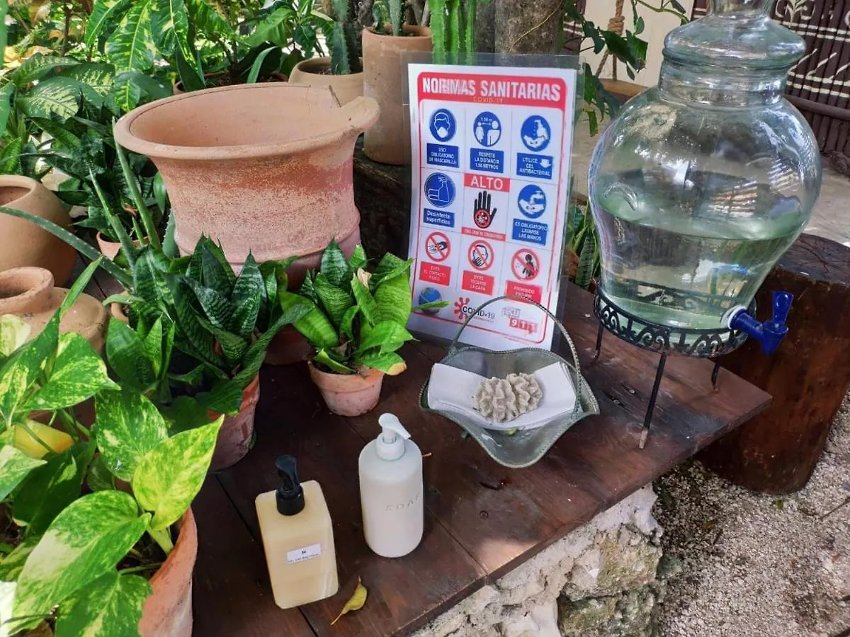 ***  Secret Garden Tulum Hotel Mexico
