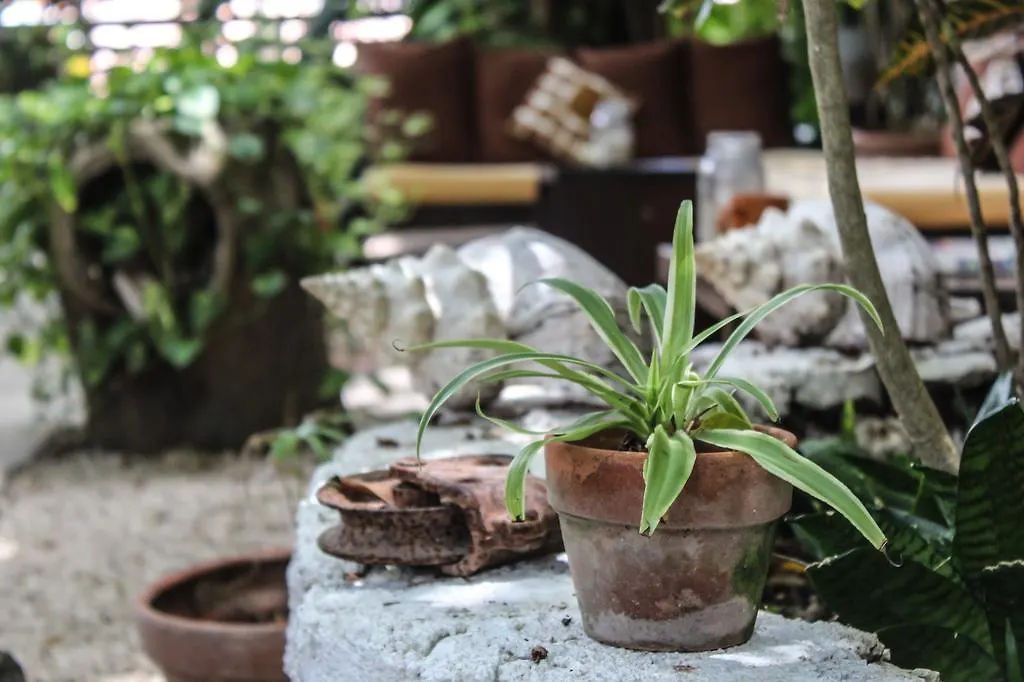 Secret Garden Tulum Hotel