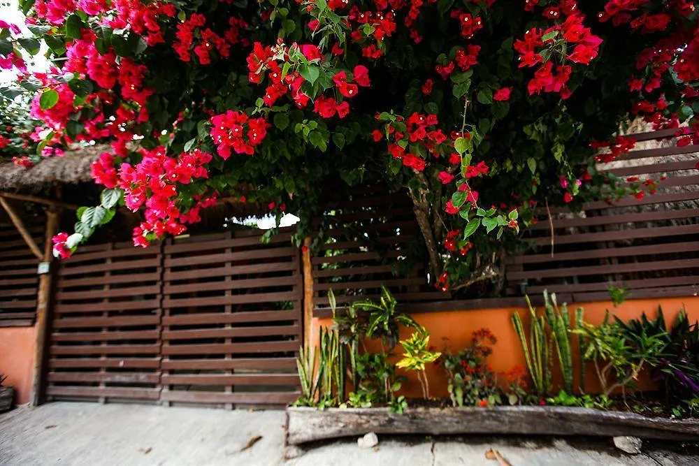 Secret Garden Tulum Hotel